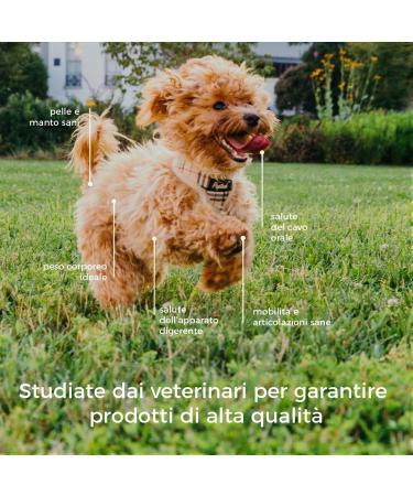 Hygge Dog Croquettes Chippy Chicken | with Beetroot and Banana Chips | Ideal for Puppies up to 18 Months | Helps Regulate Intestinal Function | Made in Italy | 10 kg - Buy Online on GoSupps.com