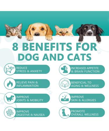 Max Potency Hemp Oil for Dogs and Cats with Omega 3-6-9 Fatty Acids - Supports Hip, Joint, and Skin Health - Organic, Non-GMO, Made in USA 1-Pack - Buy Online on GoSupps.com