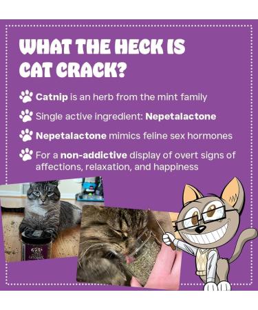 Cat Crack Catnip Premium Blend - Infused with Maximum Potency for Hours of Kitty Fun! 4 Cups - Buy Online on GoSupps.com