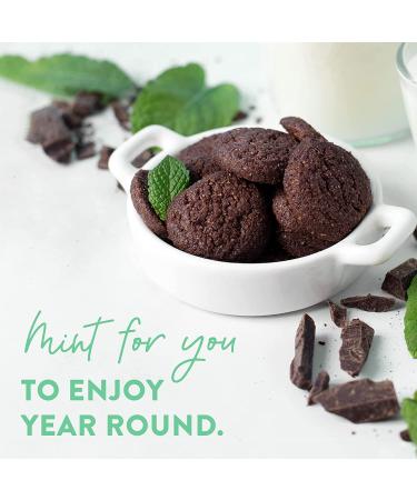 HighKey Sugar Free Mint Chocolate Cookies 6.75oz 3-Pack - Keto, Low Carb, Diabetic Snack, Gluten Free, Diet Friendly, Healthy Dessert with Almond Flour and No Added Sugar - Buy Online on GoSupps.com