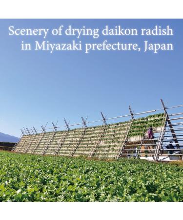 Gluten Free Pickled Daikon Radish 3.5oz x 3 Packs | Vegan | MSG Free | Product of Japan - Buy Online on GoSupps.com