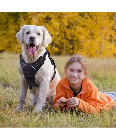 Rabbitgoo No-Pull Dog Harness for Large Dogs - Adjustable Padded Control Chest Harness - Black XL - Safe and Comfortable Puppy Dishes (1 Pack) - Buy Online on GoSupps.com