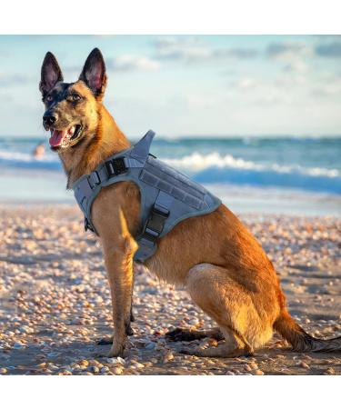 Rabbitgoo No Pull Dog Harness for Medium & Large Dogs | Tactical Vest with Metal Buckle & Handle | Breathable Adjustable Padded Harness - Blue - Buy Online on GoSupps.com