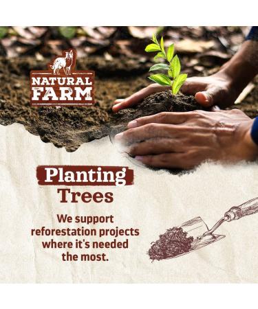 Natural Farm Bully Sticks - Odor Free 100% Beef Chews - Grass-Fed - Non-GMO - Dental Treats for Small and Medium Dogs - 1.3lb Bag - Buy Online on GoSupps.com