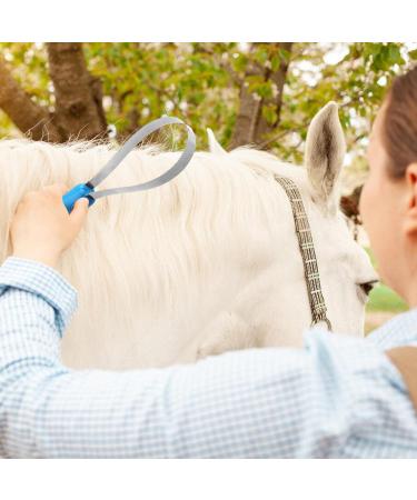 Maodom Shedding Blade - Double-Sided Metal Deshedding Tool for Pets | Comfortable Handle & Coarse/Fine Teeth for Effective Pet Care - Buy Online on GoSupps.com