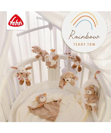 Fehn Teddy Cherry Stone Pillow for Babies and Toddlers - Hot/Cold Therapy & Cute Rainbow Teddy Applique - 16 x 16 cm - Buy Online on GoSupps.com