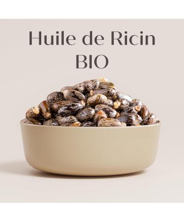 Arganicare | Duo Shampoo + Conditioner | Castor | Growth Accelerator | Gently Cleans & Moisturizes Hair | All Hair Types | 1x400 ML+ 1x400mL - Buy Online on GoSupps.com