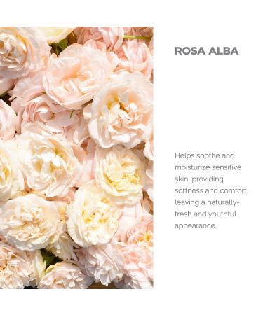 Buy Alteya Organics White Rose Water - USDA Organic Facial Toner 8.5 Fl Oz - Pure Bulgarian Rosa Alba - Award-Winning Moisturizer in BPA-Free Bottle - Buy Online on GoSupps.com