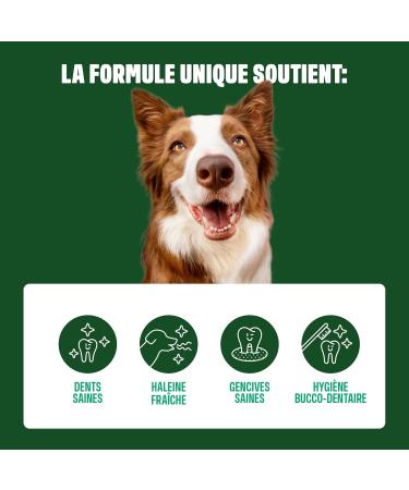 ivvi Dental - Dental Hygiene Snacks for Dogs. Mint Parsley Fennel Chamomile Coconut Oil Brown Seaweed. 60 Snacks with Chicken. Promotes Healthy Teeth Fresh Breath Healthy Gums - Buy Online on GoSupps.com
