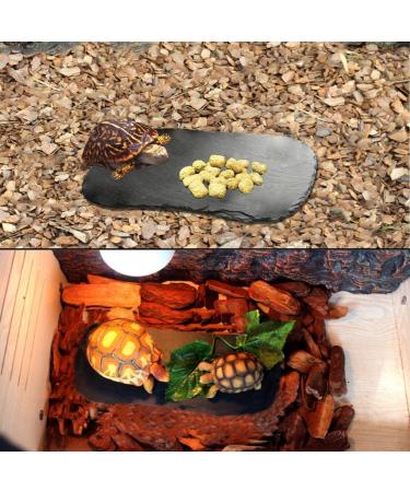 Tfwadmx Reptile Basking Platform Tortoise Rock Plate Feeding Food Bowl Dish Feeding Slate Turtle Bathing Resting Platform for Lizard Gecko Bearded Dragon Chameleon Snake Frog 11''x5.5'' natural - Buy Online on GoSupps.com