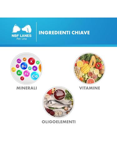 CAREVIT DOG MANGIME 100 COMPRESS - Buy Online on GoSupps.com