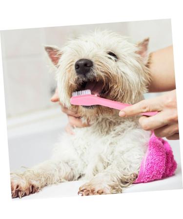 COSMEVIVI 10pcs Pet Toothbrush Pet Cleaning Toothbrush Cat Toothpaste Pet Toothpaste Dual-head Dog Puppy Nylon - Buy Online on GoSupps.com