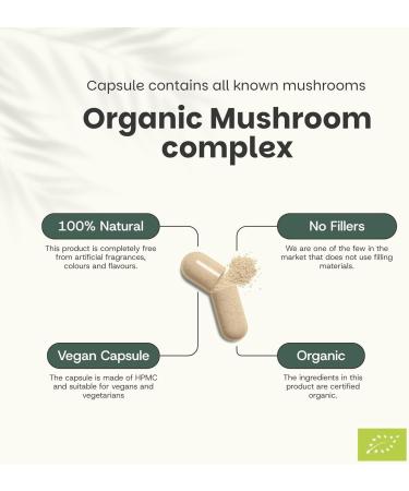 Cupplement Mushroom complex Capsules 400 mg 60 Capsules Organic Extract Lions Mane Cordyceps Reishi & Chaga Energy & Immune System Singlepack - Buy Online on GoSupps.com