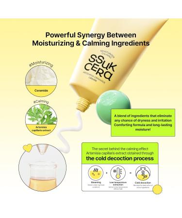 EDIT.B Moisturizing & Calming Ssuk Artemisia Ceramide Cream Long-Lasting Hydration & Barrier Support Facial Cream for Sensitive Skin Soothing & Relief Korean Daily Skin Care 3.38 fl.oz (100ml) - Buy Online on GoSupps.com
