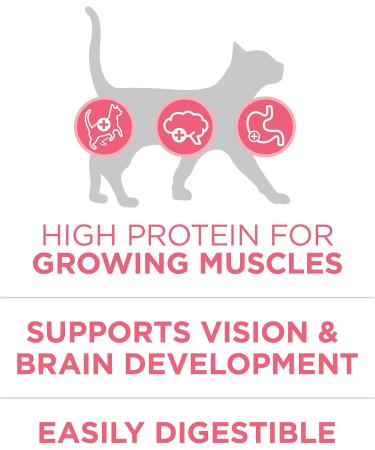 Purina ONE Dry Cat Food Hairball Formula 1.8 kg & Healthy Kitten Food Dry Cat Food 1.8 kg - Buy Online on GoSupps.com
