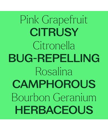 Plant Therapy KidSafe Shield Me Essential Oil Blend Pre-Diluted Roll On 10 mL (1/3 oz) & KidSafe Itch Away Essential Oil Blend Pre-Diluted Roll-On 10 mL (1/3 oz) - Buy Online on GoSupps.com