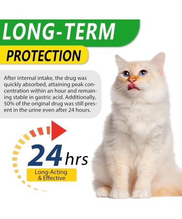 Natural Antibiotics for Cats 2 PCS Cat Antibiotics- Cat Multivitamin is anti-bacterial effect antibiotics for cats Supports Immune & Cats Allergy Relief Health Supplies Cats UTI Antibiotics(60ml) - Buy Online on GoSupps.com