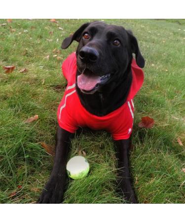 Eastlion Dog Sweater - Warm Red Puppy T-Shirt Pullover Coat | Size LL Pet Apparel - Shop Internationally - Buy Online on GoSupps.com