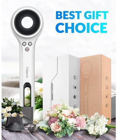 Ionic Hair Dryer Chignon Hair Blow Dryer 1600W Lightweight Fast Drying with 2 Concentrator Nozzles 3 Temperature /2 Speed for Home Travel - Buy Online on GoSupps.com