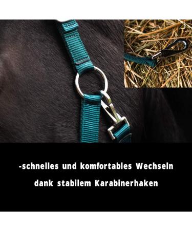 Halter for Horses with Rope | Premium Knitting Horse Halter for Pony Thoroughbred & Full Sizes (Green COB X-Full) - Buy Online on GoSupps.com