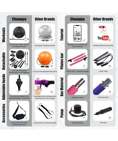 65cm Yoga Ball Chair for Pregnancy, Physical Therapy & Office - Stability Ball with Stainless Steel Pilates Bar - Black - Buy Online on GoSupps.com