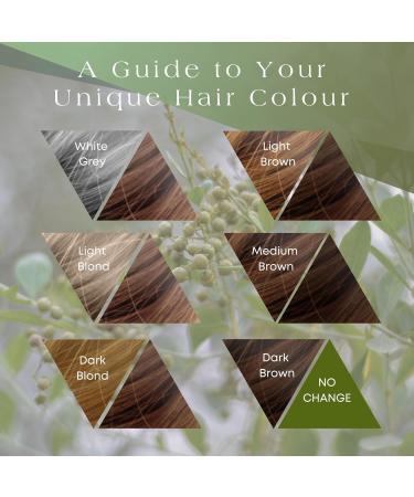Organic Natural Brown Henna Hair Dye | Vegan & Gluten Free | PPD, Ammonia, Resorcinol, and Peroxide Free | Volumising & Strengthening Formula - Buy Online on GoSupps.com
