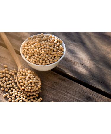 Mynatura Organic Soybeans - 1000g Untreated Dried Soybeans | Natural High-Quality Legumes for Healthy Living - Buy Online on GoSupps.com
