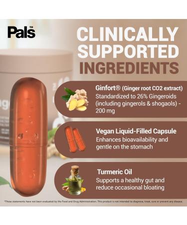 Pure Ginger Root Capsules Enh-12x: Ultra Potent 26% Gingeroids Extract Vegan Ginger Supplements for Nausea Bloating & Menstrual Cramps Natural No Fillers Non-GMO (30 Days) - Buy Online on GoSupps.com