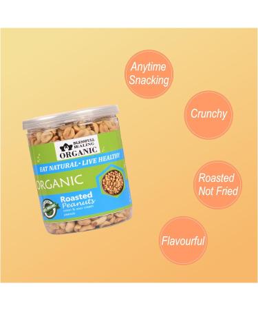 Blessfull Healing Organic Natural Vegan Onion & Sour Cream Roasted Peanuts Crunchy Healthy Snacks 250 Gram - Buy Online on GoSupps.com
