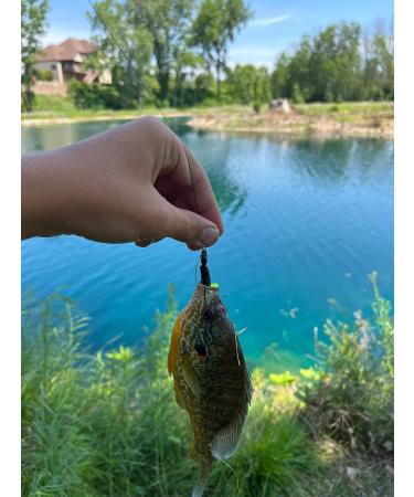 Valley Tieless Fishing EZ Fishing KIT  Tackle Box  Including EZ Tieless Hooks  Crank Baits  Spinner Baits  Lifelike Lures  Plastic Worms  Braided Fishing Line  Freshwater Fishing Gear - Buy Online on GoSupps.com