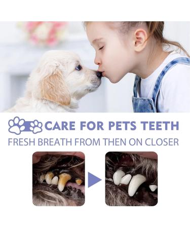 1/2/3/4/5Pcs Pet Oral Spray Clean Teeth Teeth Cleaning Spray for Dogs & Cats cat Spray Pet Breath Freshener Spray Care Cleaner Pet Bad Breath Treatment (5 Bottle) - Buy Online on GoSupps.com