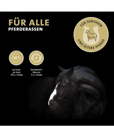 Peticare Vital Senior Powder Blend for Horses | Stimulates Vitality & Mobility in Seniors | Vegetable Ingredients with L-Leucine MSM | For Senior Horses & Aged Ponies | petHorse Health 4603 - Buy Online on GoSupps.com