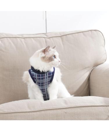 Dotoner Katzenbody After Op | Anti-Trolley Body for Cat Recovery | Post-Surgery Clothing for Cats & Dogs (Small Marine) - Buy Online on GoSupps.com