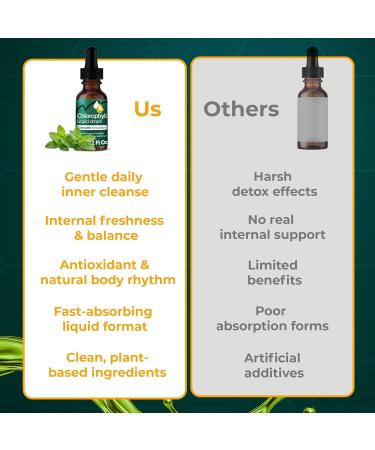 Liquid Chlorophyll Drops 60 ml 100mg per Serving Formulate Zinc Glutathione Mint Extract 2 fl oz Vegan & Sugar-Free - Buy Online on GoSupps.com