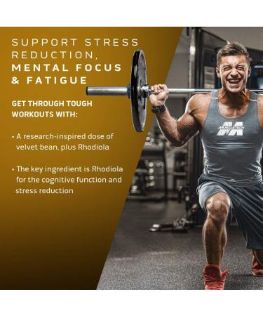 Muscletech Testosterone Booster for Men MuscleTech Test HD Elite Tribulus Terrestris for Men Increased Strength & Test Booster for Men Boron Supplement for Men 180 Capsules (Pack of 1) - Buy Online on GoSupps.com