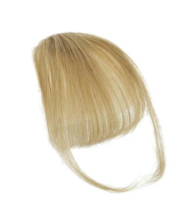 Fringe Clip-In Bangs Real Hair Real Hair Fringe Bangs Human Hair Clip In Fringe Extensions Natural Bangs With Temple Hairpieces Real Hair Extensions for Women Grey gold