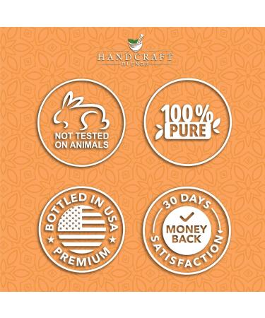 Handcraft Blends Spicy & Sweet Set: Clove and Orange Essential Oils (2 x 4 Fl Oz) 100% Pure & Natural for Diffuser Aromatherapy and DIY Projects - Buy Online on GoSupps.com