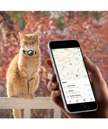 Adjustable AirTag Cat Collar with Bell | Sturdy Buckle | Yellow - Buy Online on GoSupps.com
