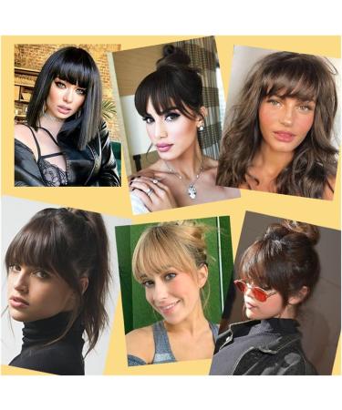 Fake Bangs Synthetic Hair Bangs Clip in Hair Extensions Natural False Hair Blunt Bangs for Daily Use Hair Accessories Women Bangs Hair Clip Extensions(18-613) 10inches 18-613 - Buy Online on GoSupps.com