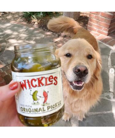 Wickles Pickles Original Kosher Dill Chips - 6 Pack (16oz) | Sweet & Spicy Pickles - Buy Online on GoSupps.com