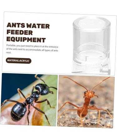 COSMEVIVI Pet Water Feeder Ant Keeping Ants Food Dispenser Ants Feeding Device Ant Water Drinking Cup Ant Nest Water Cup Ant Nest Entrance Feeder Ant Waterer Cup Ant Keeper Tools Ant Bowl - Buy Online on GoSupps.com