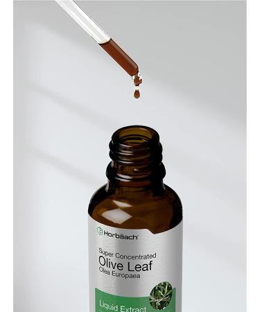 Super Strength Olive Leaf Extract Liquid - 2 fl oz | Alcohol-Free, Vegetarian, Non-GMO, Gluten-Free | Horbaach - Buy Online on GoSupps.com