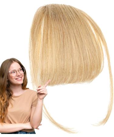 Generic Bang Extensions Clip Human Hair - French Bangs Clip on Hair Bangs Extensions Neat Bangs Hair Extension French Bangs Clip On Fake Bangs Fringe Stylish Fringe Hairpieces for Dinner Date gold - Buy Online on GoSupps.com