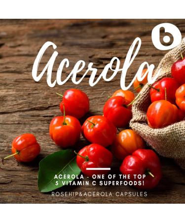 Organic RoseHips & Acerola Capsules - Plant Based Vitamin C 1000mg from Acerola Cherry Powder Organic & Rosehip Powder - Without Ascorbic Acid - Supports Immune Health - GMO free - 90 Vegan Capsules - Buy Online on GoSupps.com
