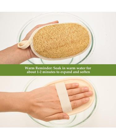 Loofah Sponge 6 Pack - Exfoliating Pads for Face & Body | Round Bath Shower Scrubber | Spa Quality Skin Care for Men & Women - Buy Online on GoSupps.com