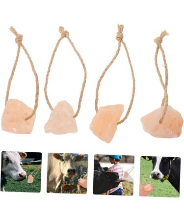 PHENOFICE 4pcs Salt Blocks Add Elements Pet Hanging Rabbit Salt Food Rabbit Supplies Rabbit Salt Brick Mineral - Buy Online on GoSupps.com