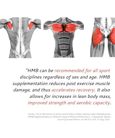 Mr Run's HMB 1000mg - Muscle Strength Supplement for Calorie Cutting & Muscle Loss - 120 Capsules - Buy Online on GoSupps.com