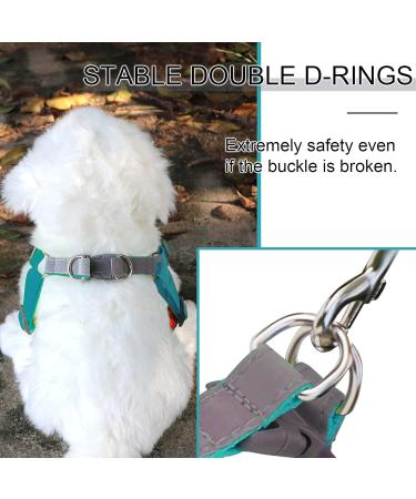 Rennaio No Pull Dog Harness & Adjustable Puppy Dishes Set - Comfortable Chest Harness & Leash for Small/Medium Dogs - Seeblau L - Buy Online on GoSupps.com
