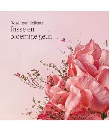 L'OCCITANE LOCCITANE Lip Balm Rose 12 ml Made in France - Buy Online on GoSupps.com