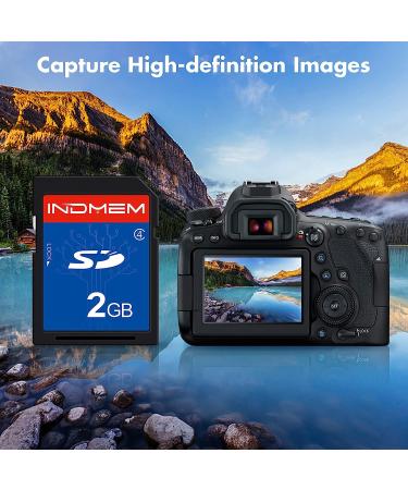 INDMEM 2GB Class 4 SLC SD Card - Secure Digital Standard, 1PC - Buy Online on GoSupps.com